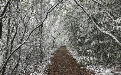 Day 12 – Hiking in a Winter Wonderland in Spring, A Story of Our AT Thru-Hike!